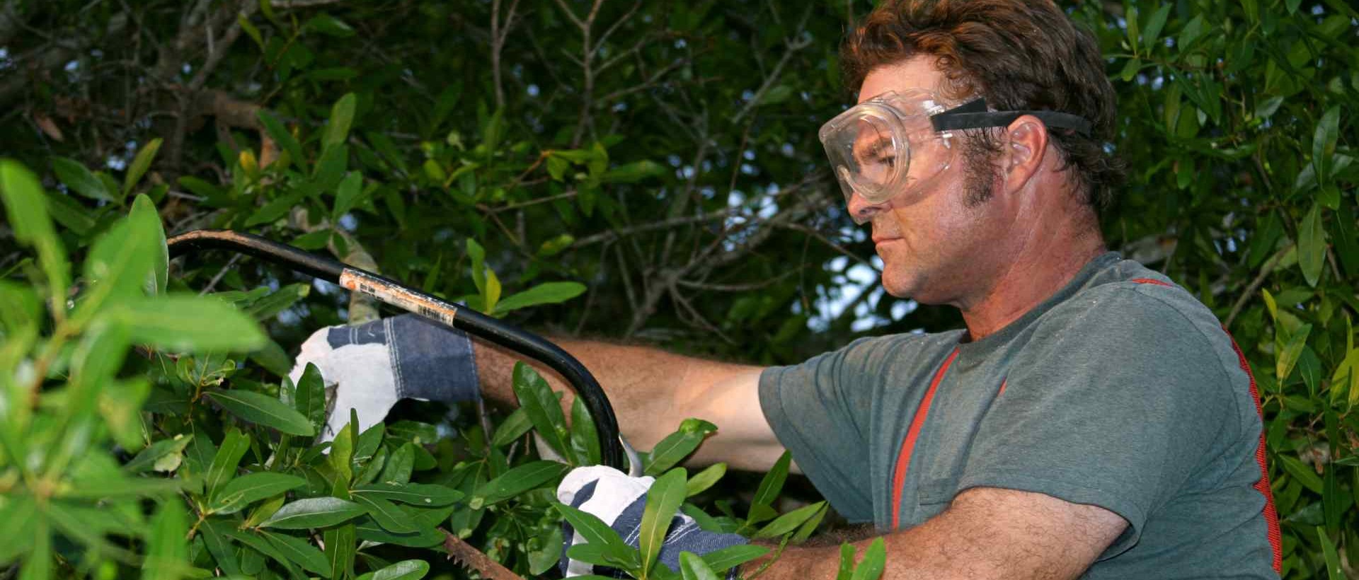 garden clearance SM7