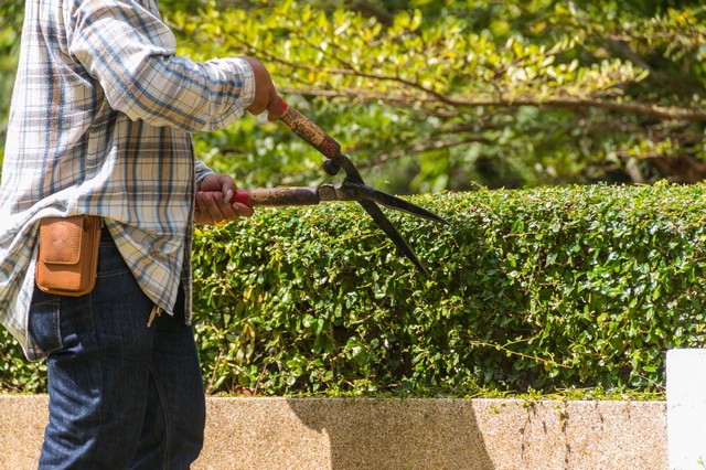 Garden Maintenance Banstead, Woodmansterne, SM7